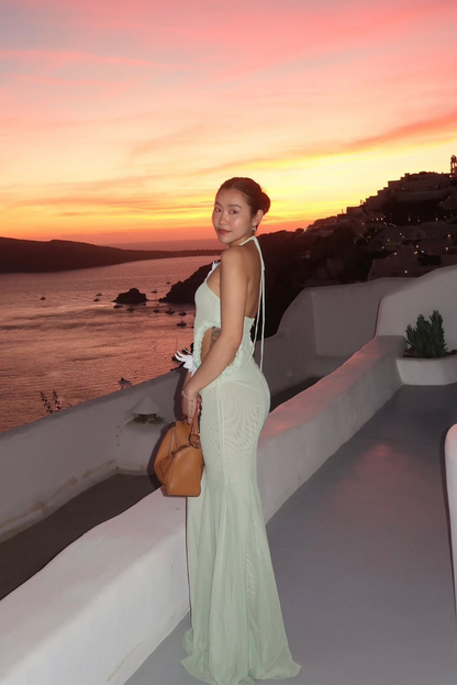 Ismeria | Willowlight Maternity Gown